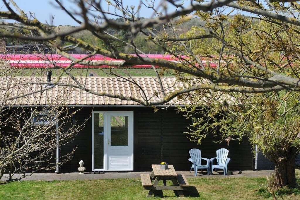 Chalet Egmond Egmond aan den Hoef Exteriér fotografie