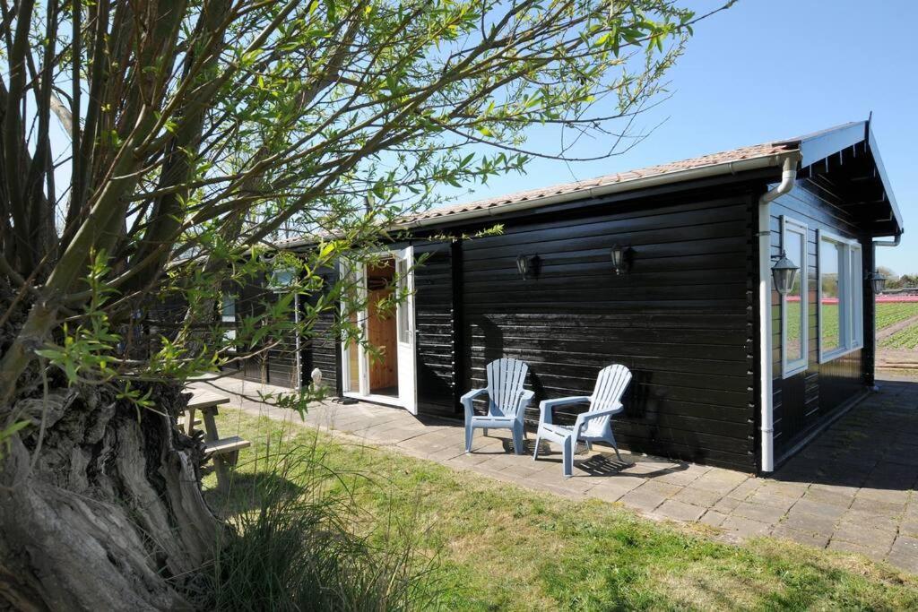Chalet Egmond Egmond aan den Hoef Exteriér fotografie